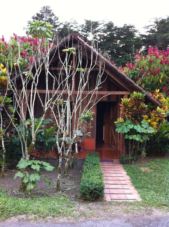 Hotel Villas Vista Arenal Ла Фортуна Номер фото